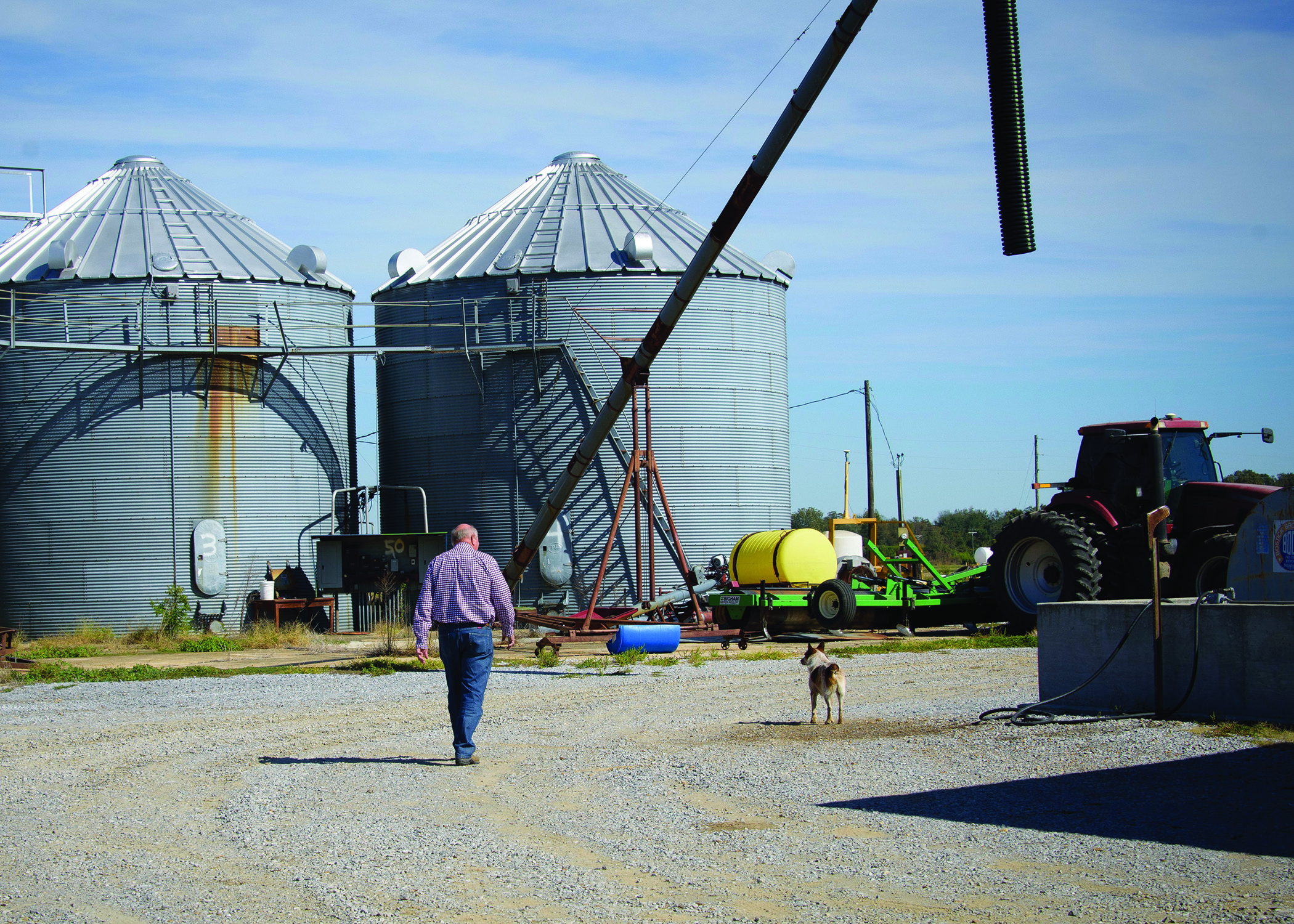 Donald Grant, walking with his dog, on his farm.